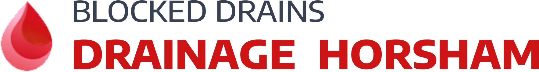 website logo